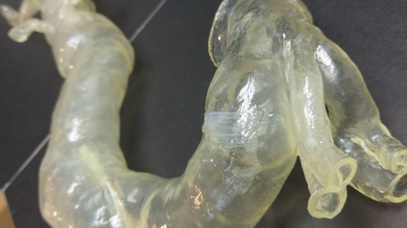 cardiology